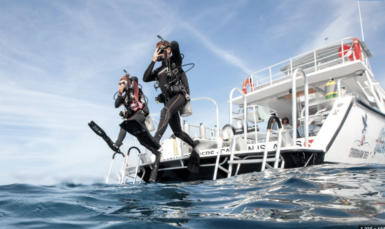 Boat Diving 101 | Blue Horizon Diving